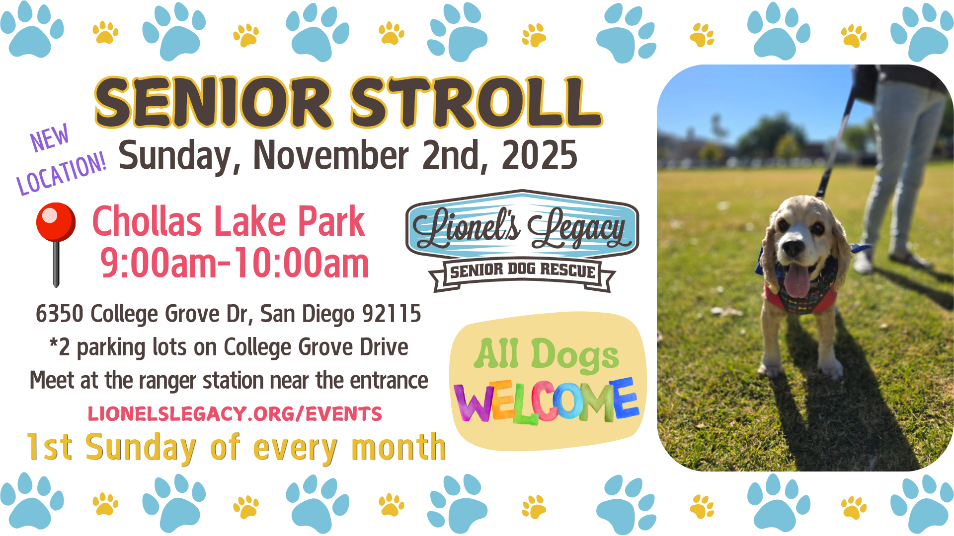 Senior Stroll Nov-2