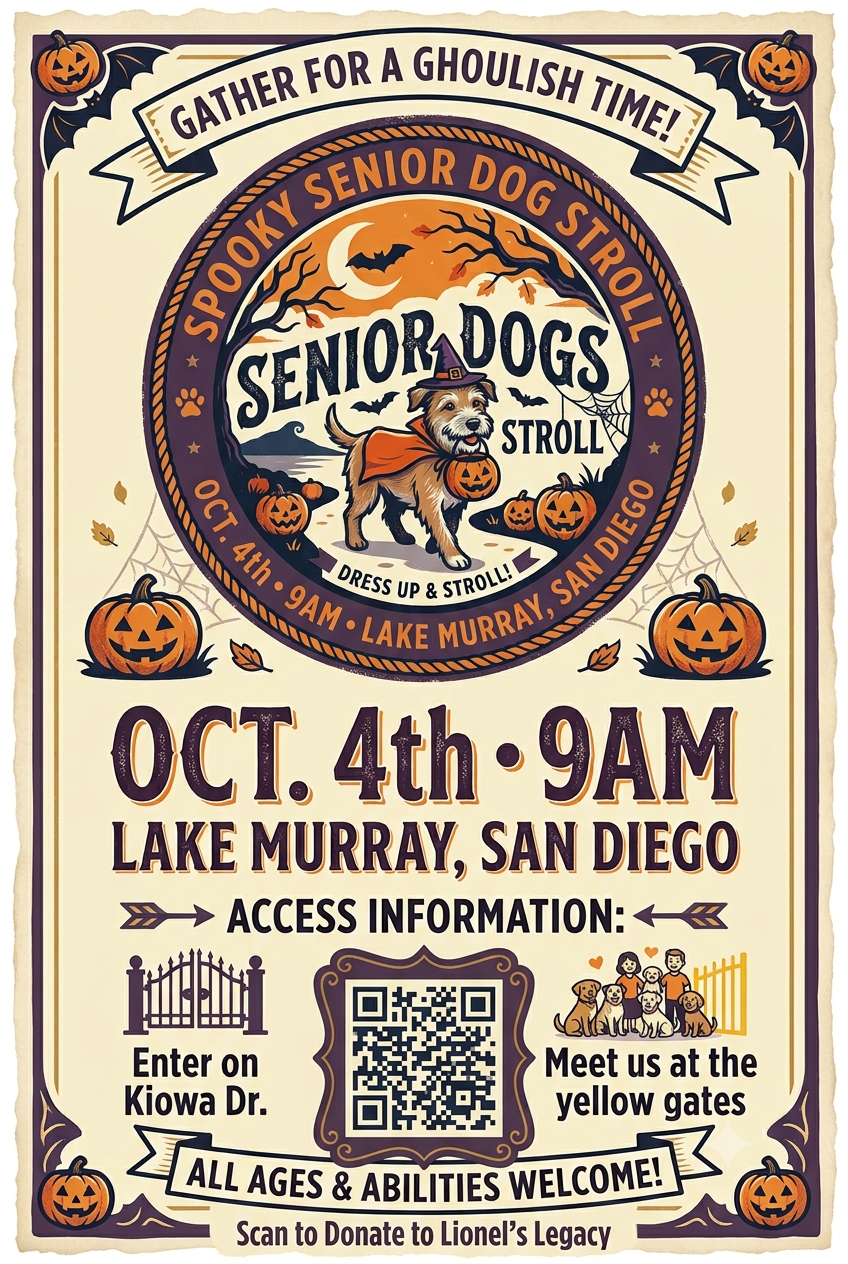 oct 4th stroll
