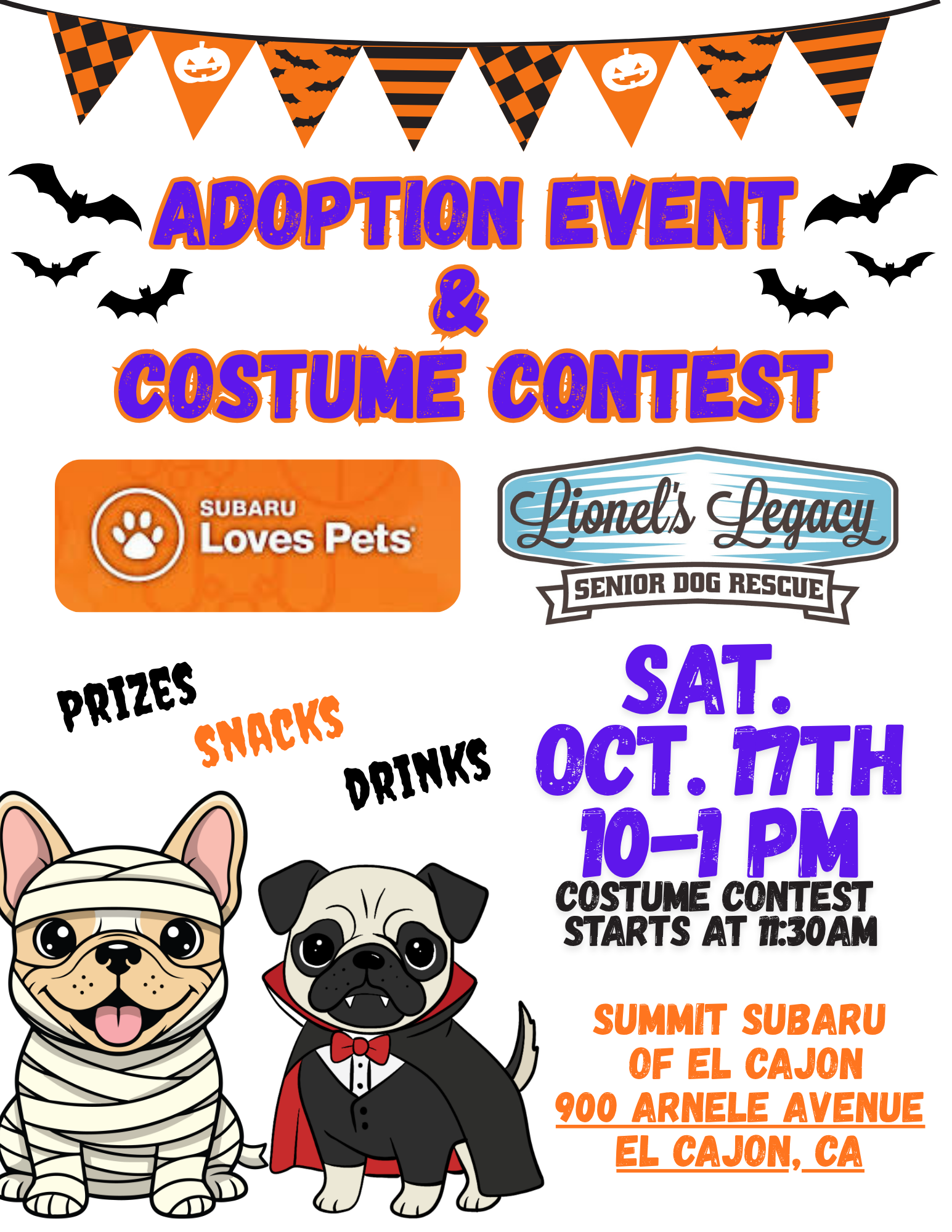 Subaru - adoption event and costume contest